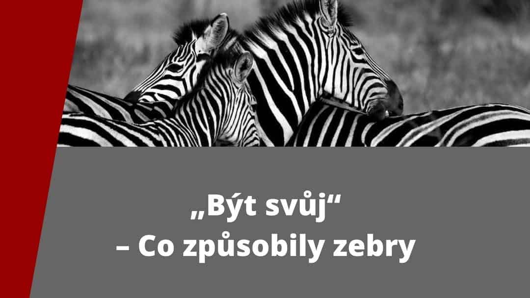 „Být svůj“ – Co způsobily zebry